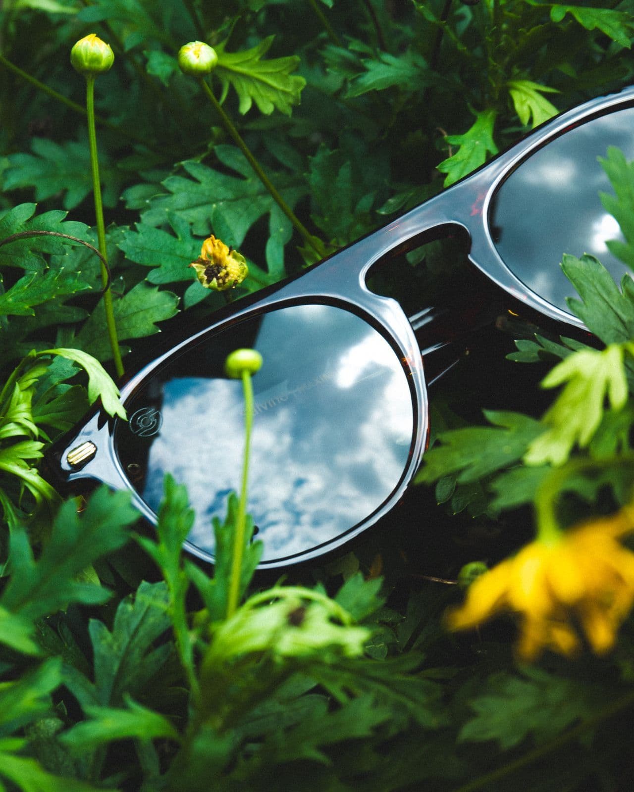 Computer Glasses